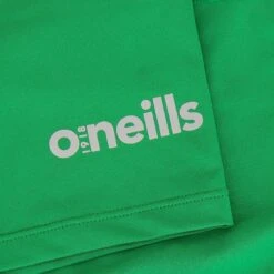 Men's Pro Body III Poly Elastane Shorts Green / Silver -Canter Sport Clothing Shop pro body iii 53 poly elastane shorts grn slv 5