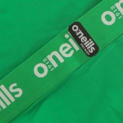 Men's Pro Body III Poly Elastane Shorts Green / Silver -Canter Sport Clothing Shop pro body iii 53 poly elastane shorts grn slv 6